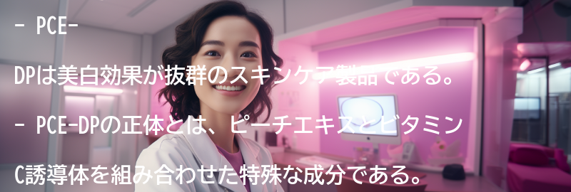 PCE-DPとは？の要点まとめ