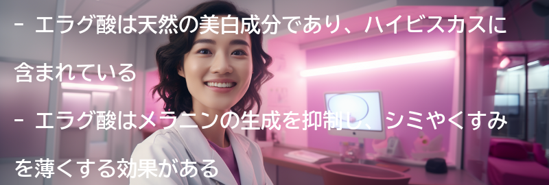 エラグ酸とは何か？の要点まとめ