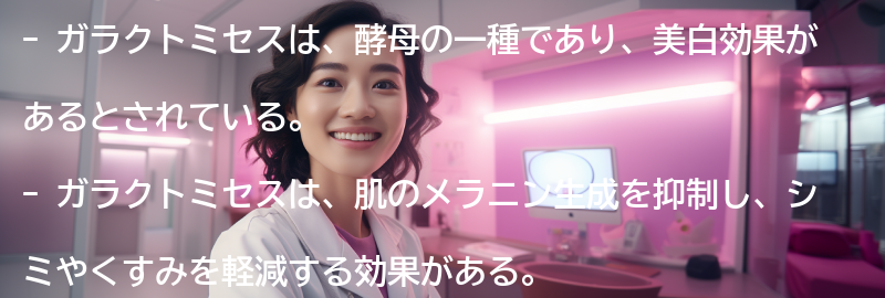 ガラクトミセスとは？の要点まとめ