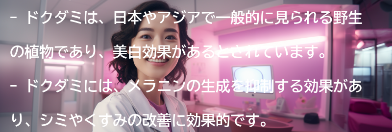ドクダミとはの要点まとめ