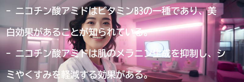 ニコチン酸アミドとはの要点まとめ