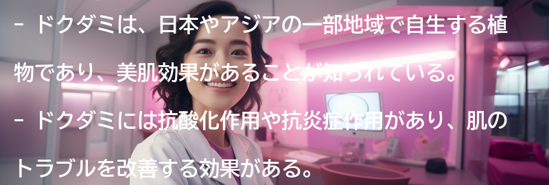 ドクダミとはの要点まとめ