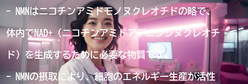 NMNとは何ですか？の要点まとめ